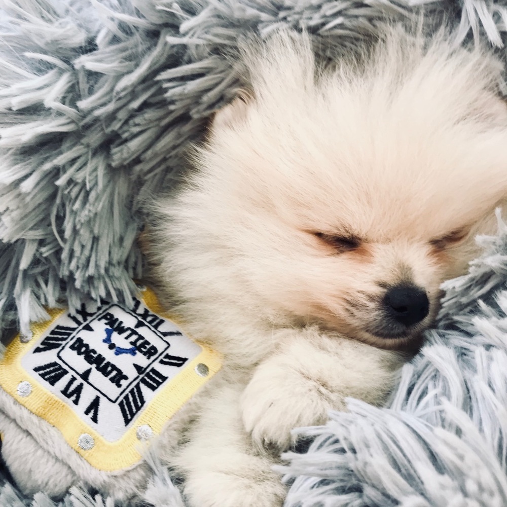 Meet your Posher, Anna